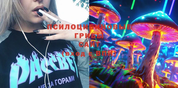 ГАЛЛЮЦИНОГЕННЫЕ ГРИБЫ Верхнеуральск