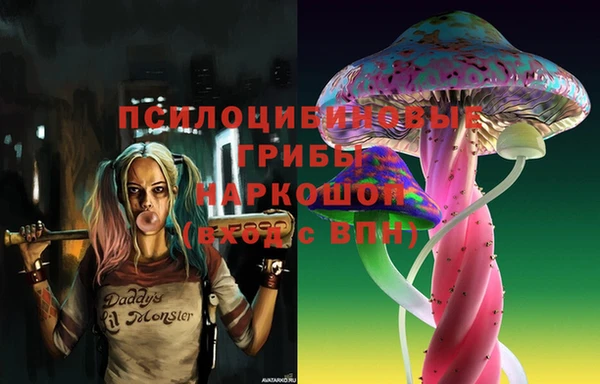 а пвп мука Верхний Тагил