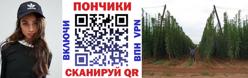 Бошки Шишки Bruce Banner  как найти закладки  Поронайск 